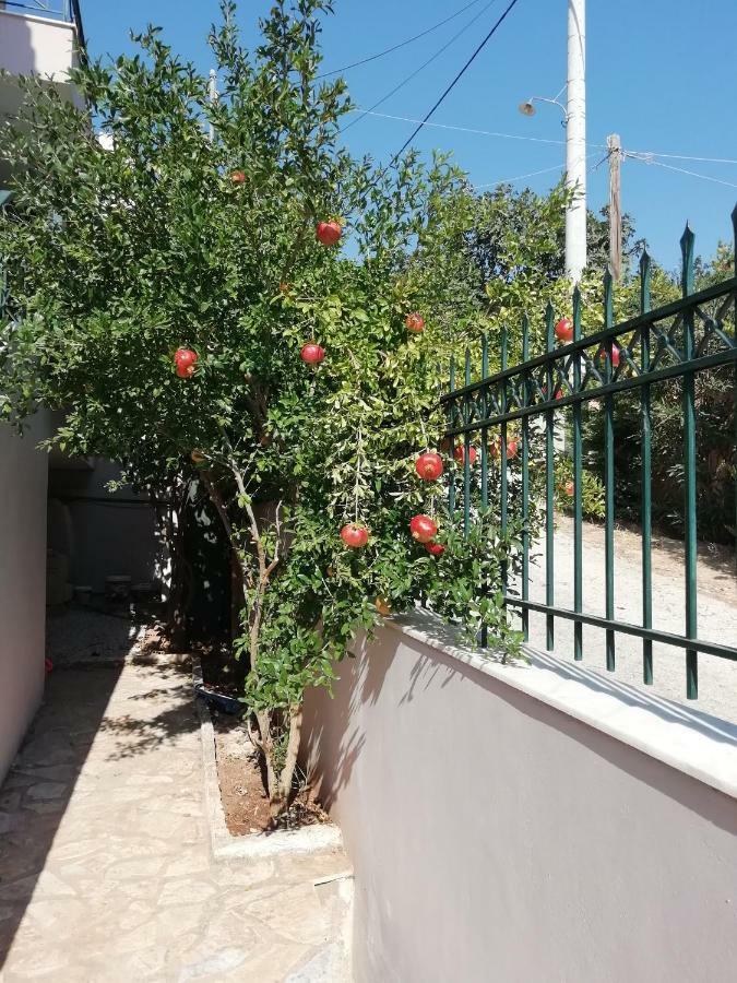 Airport Family House Apartment Artemida  Ngoại thất bức ảnh